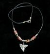 Fossil Bull Shark Tooth Necklace #3537-1
